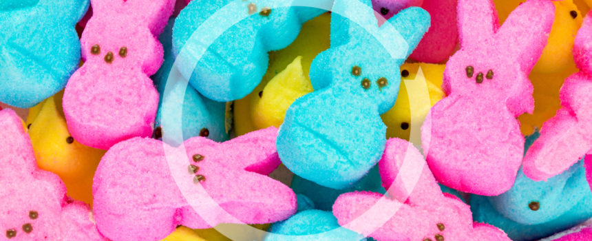 image of bunny Peeps marshmallow confections