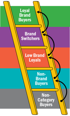 loyalty ladder_updated